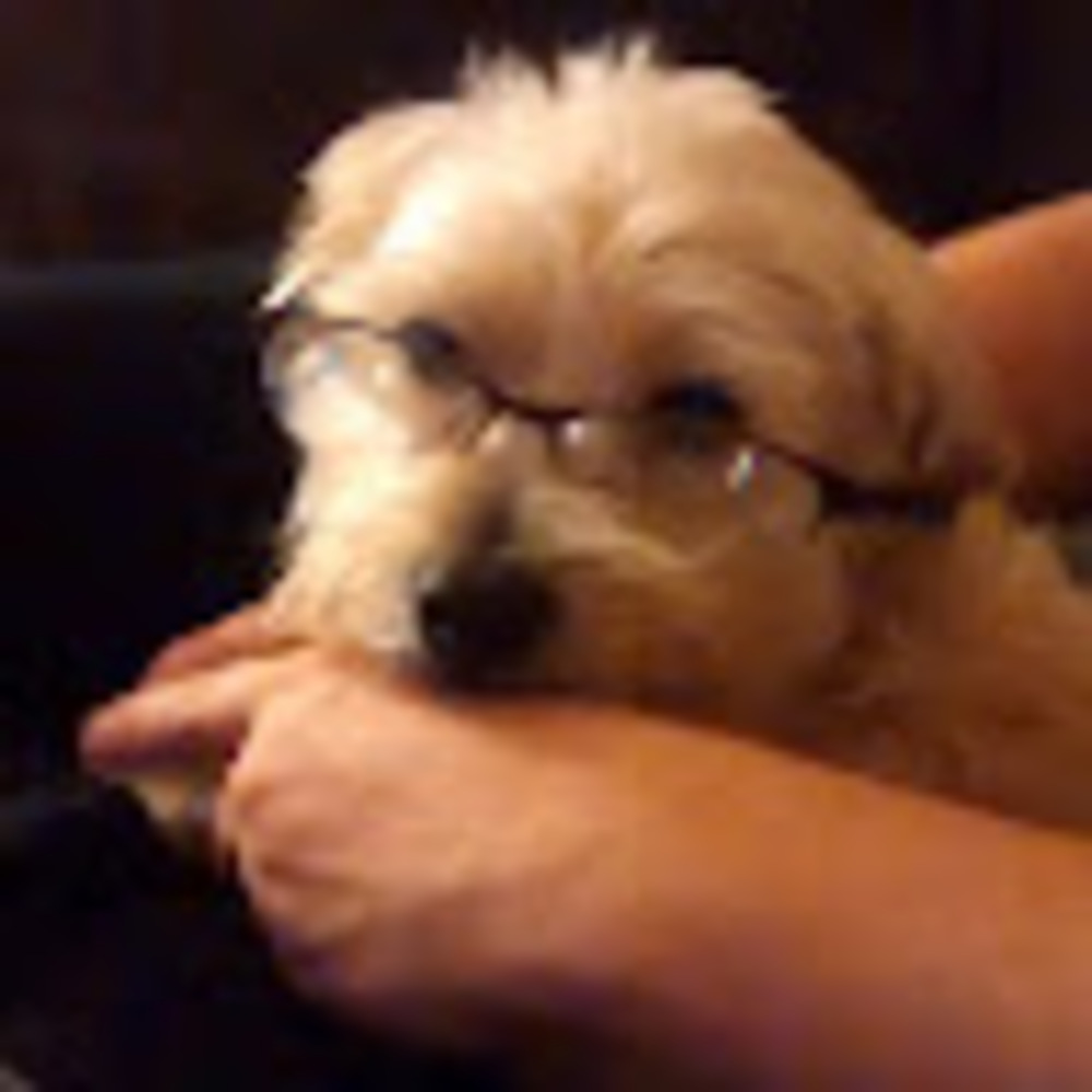 Meet your Posher, Michaela